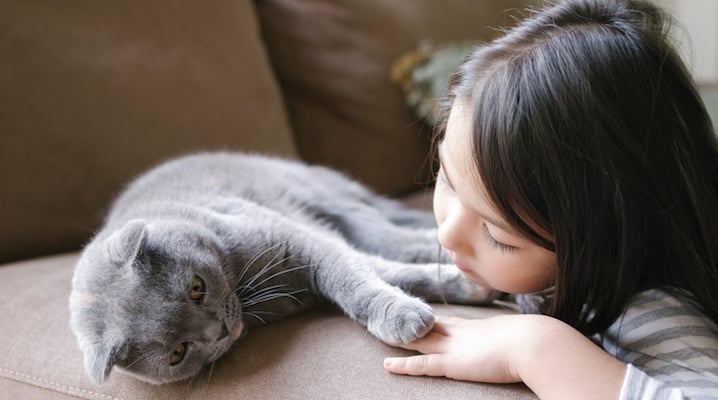 Do Cats Have The Same Effects On Children As Dogs?