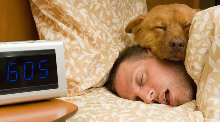 Co-Sleeping with Your Pet: The Reason for Your Poor Night's Sleep?