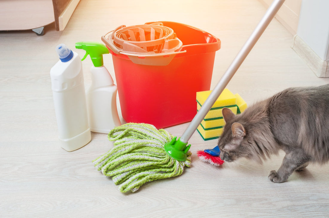 This is How Spring Cleaning Puts Your Pet in Danger