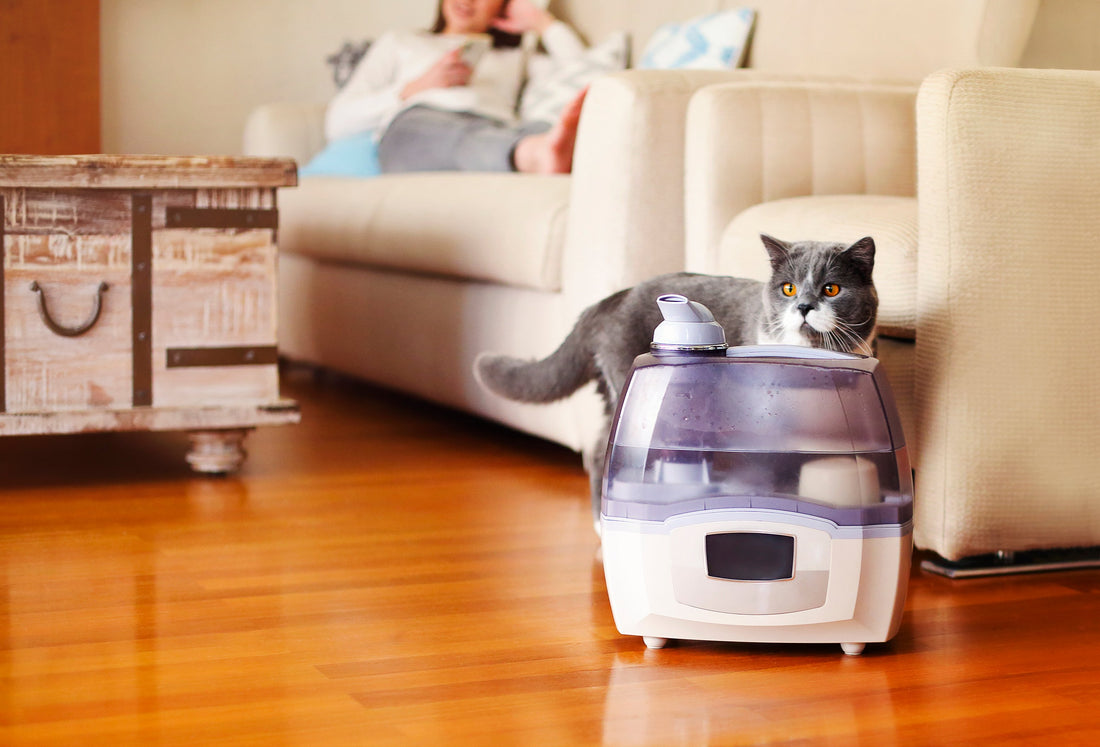 Are Humidifiers Good for Pets?