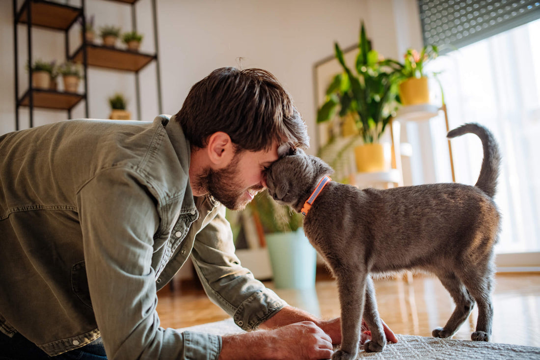 Plan an Extra-Special Pet Appreciation Week for Your Furry Friend