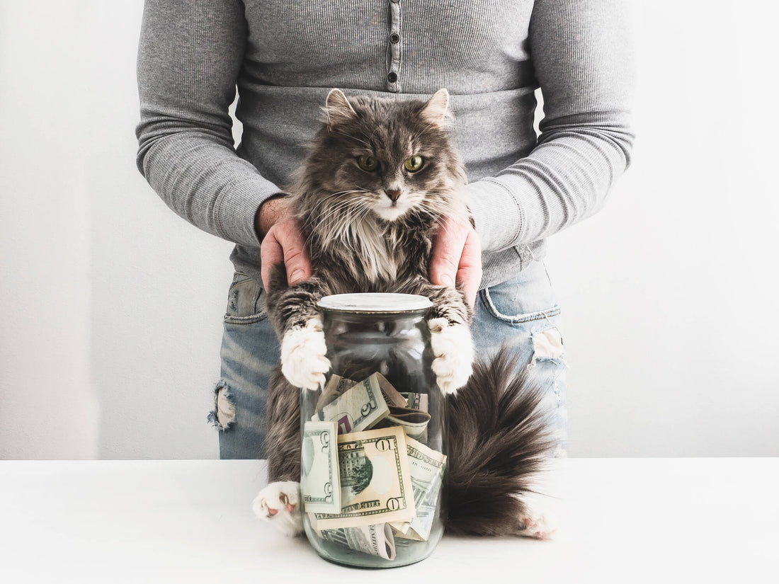 8 Ways to Cut Pet Care Costs While Protecting Your Pet's Health