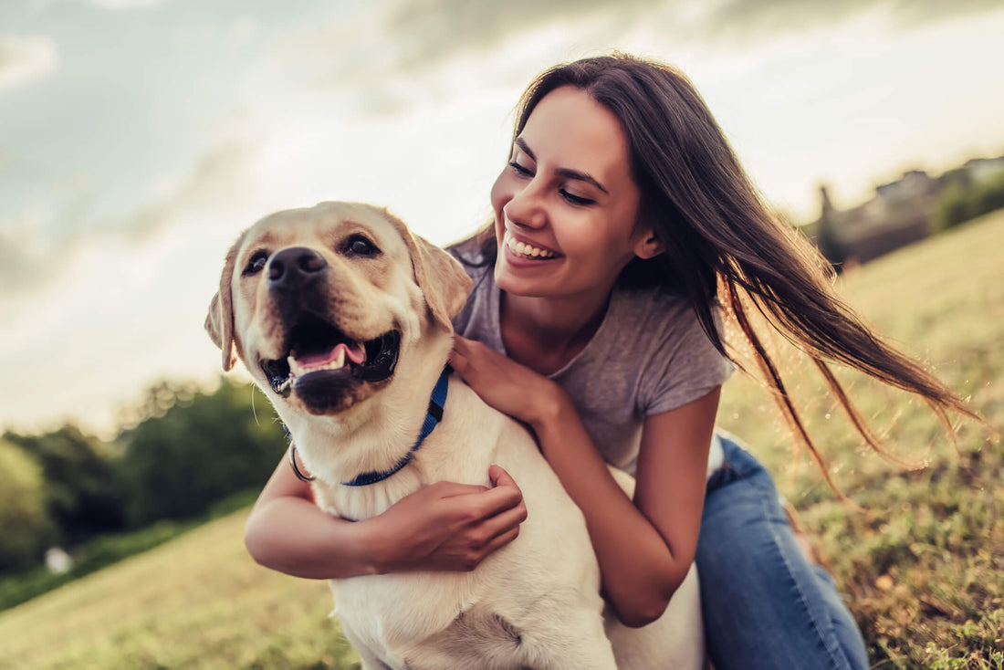 How to Keep Your Recently Adopted Pet Healthy